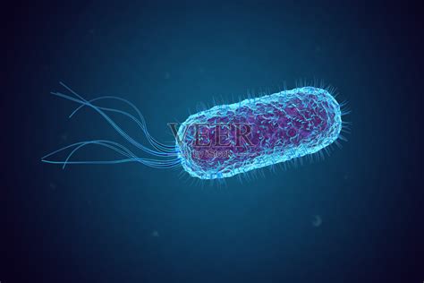 【菌周刊】大肠杆菌DH5α感受态细胞的制备 - 知乎