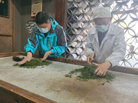 湖北恩施：非遗名茶托起山村致富路_精彩活动_资讯动态_传承中国网-官网