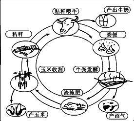 循环农业模式图,循环农业模式,循环农业_大山谷图库