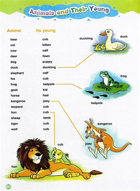 常见动物和其幼崽的英文名称|湖南少年儿童出版社英语