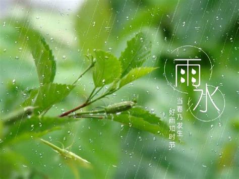 2023年中国雨季大盘点！究竟下了多少雨？_京报网