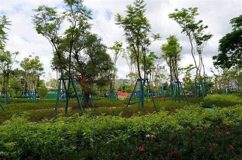 云南思茅：“口袋公园”建设全面开工 打造群众“幸福乐园” _www.isenlin.cn