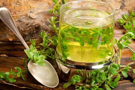 绿茶的功效与作用禁忌分别是什么？爱喝绿茶的你一定要知道了_TOM健康
