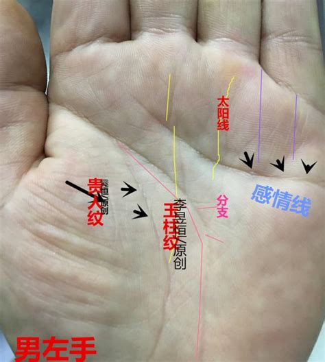 穿钱纹手相图片