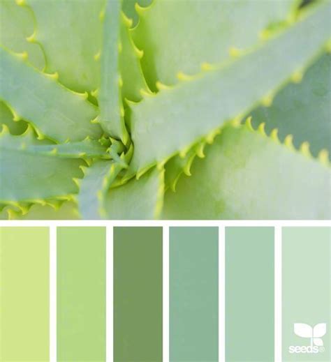 清新柔和的绿色配色方案Emily Peterson|配色方案|绿色_新浪新闻