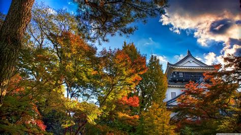 Become a Japan travel expert using travel passes & enjoy an experience ...