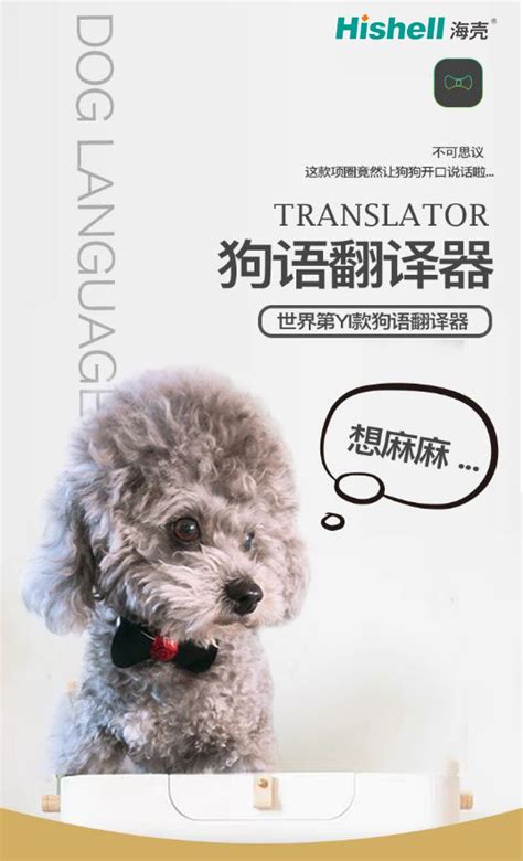 宠物狗狗语言狗语翻译器第五代通用智能泰迪翻译机中文英文翻译器-海壳
