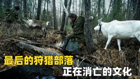 人间真实纪录片最后的狩猎部落鄂温克，上交了猎枪后，上百人因为酗酒失去了生命_高清完整版视频在线观看_腾讯视频