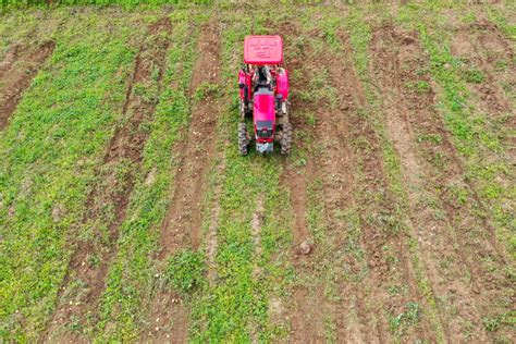 土豆种免费发助力秋耕备耕--达州高新技术产业园区