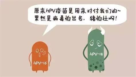 关于 HPV的5个常见问题与11个误区，每位女性都要知道！_澎湃号·政务_澎湃新闻-The Paper