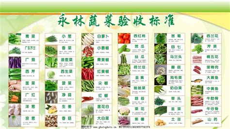 菜的种类图片和名字,60种蔬菜名字图片大全,蔬菜图片大全(附名称)_大山谷图库