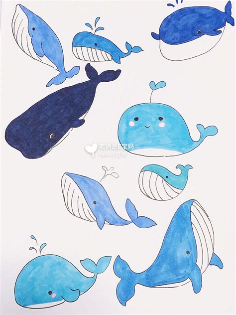 手绘鲸鱼简笔画图片
