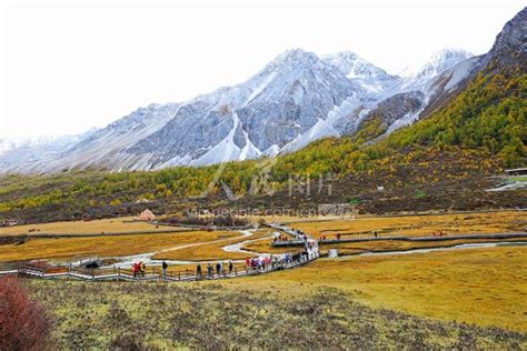 四川省甘孜州稻城亚丁景区央迈勇雪山下的洛绒牛场航拍图 图片 | 轩视界