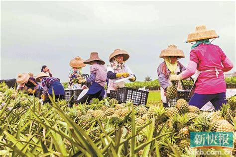龙湖区农业品牌建设推广中心和消费扶贫农产品交易中心投入运营