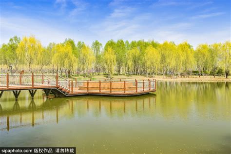 2024柳荫公园游玩攻略,柳荫公园位于北京市安定门外...【去哪儿攻略】