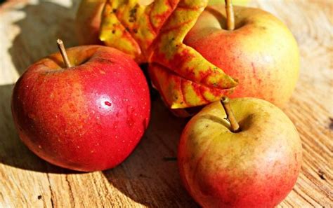 每天吃一个苹果，坚持一周，身体会悄悄地改变几种方式！_东方养生频道_东方养生