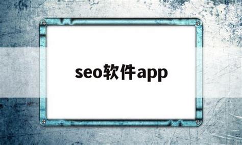 seo软件app(seo软件视频教程) - 杂七乱八 - 源码村资源网