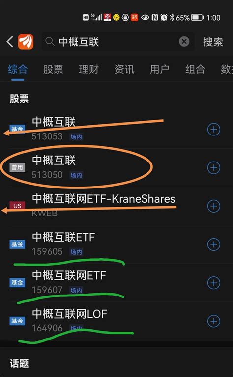 除了513050，说实在的，这三只中概互联场内基金，我除了知道164906是lo_财富号_东方财富网