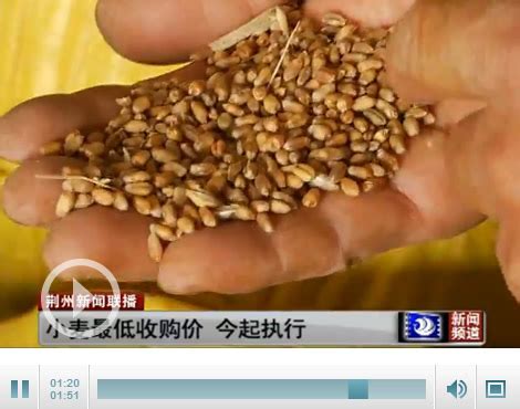 小麦最低收购价政策启动 每斤比去年提高6分钱-新闻中心-荆州新闻网