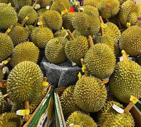 泰国市场上的新鲜榴莲群水果之王热带榴莲在市场品尝榴莲高清图片下载-正版图片506633322-摄图网