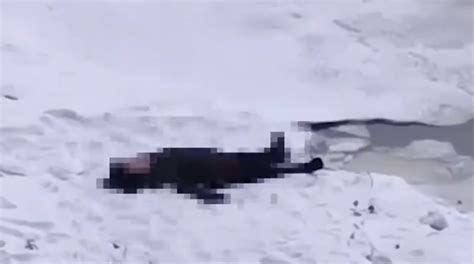 哈尔滨一男子掉进冰窟窿溺亡，目击者透露落水原因 | 北晚新视觉