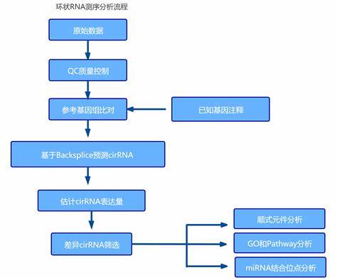 分析性研究和描述性研究内容