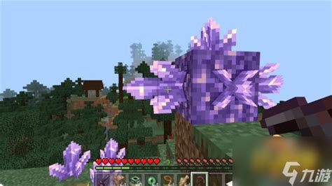 我的世界紫水晶碎片怎么获得 紫水晶碎片获取攻略_九游手机游戏