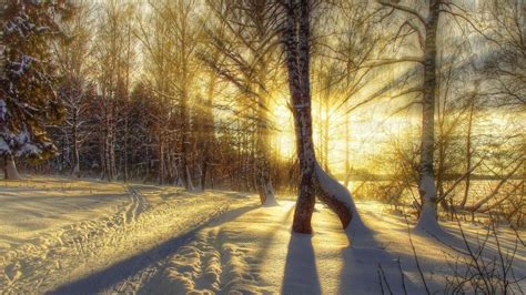 自然,冬天,阳光,光,4K风景壁纸-千叶网