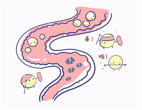 科学网—[转载]肠道微生物（菌群）与脑神经（中枢神经）到底如何联系？ - 牛耀芳的博文