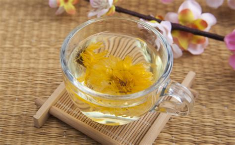 普洱茶能降血糖吗 普洱茶有什么功效和作用 - 复禾健康