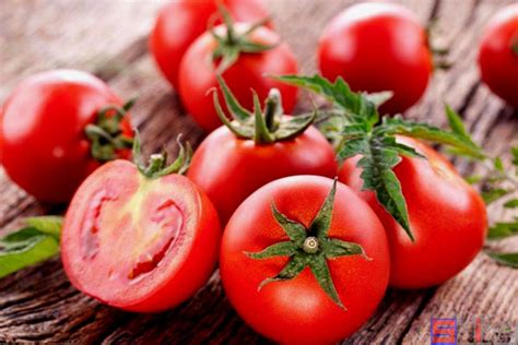 自然熟的西红柿十大排行榜-玩物派