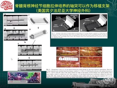 首都医科大学附属天坛医院