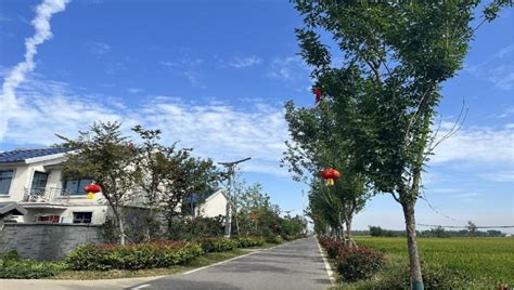 泗阳县穿城镇“有事好商量” 助力和美乡村建设_新华网江苏频道