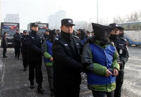 吉林省汪清森林公安局破获一起系列盗窃案_手机新浪网