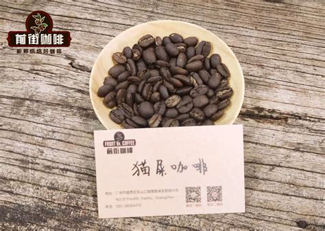 印尼苏门答腊正宗野生猫屎咖啡价格多少钱 Kopi Luwak特点介绍 中国咖啡网