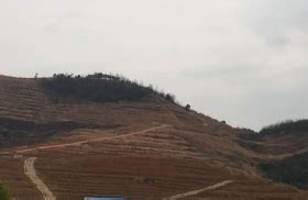河南省南阳市3000亩可建光伏发电的益林荒山对外出租- 聚土网