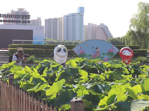 北京莲花池公园扩容4.8万平方米