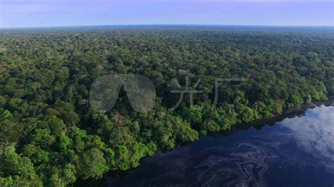 热带的雨林景观亚马逊高清摄影大图-千库网