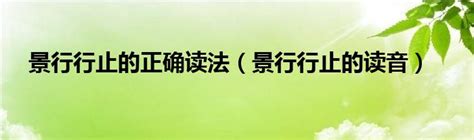 【雅昌快讯】“高山仰止，景行行止” 国博700余件作品系统展示孔子文化