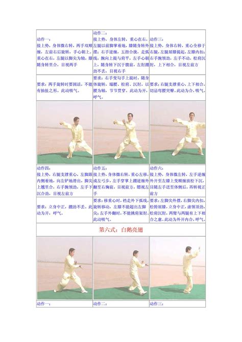 陈式太极拳精要十八式图解_word文档在线阅读与下载_免费文档