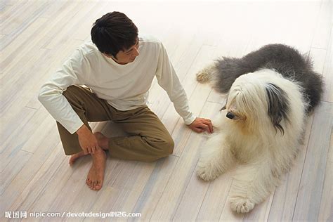 男人和狗摄影图__日常生活_人物图库_摄影图库_昵图网nipic.com