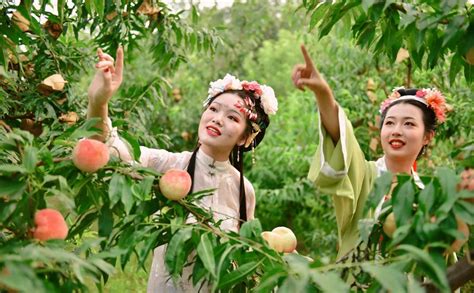 经典回顾，李丽珍蜜桃成熟时，喜欢就去爱 维港季风-有见地的娱乐