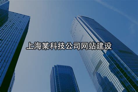 上海某科技公司网站建设_上海IT外包|IT外包服务|网络维护|弱电工程|系统集成|IT外包公司|IT人员外包|HELPDES