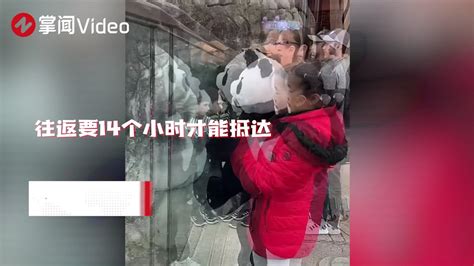 丫丫最新近况，来自4月2日在美华人姐姐月月拍摄的视频：天气好……_新浪新闻