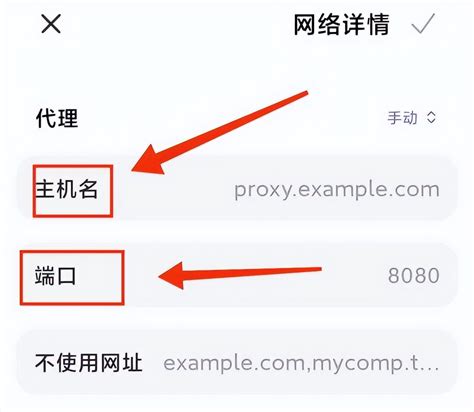 127.0.0.1服务器香港IP解析有问题，网站打不开-常见问题