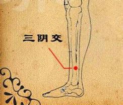 三阴交位置图图片