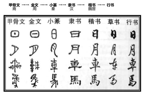 书的详细解释_新华字典书的意思_汉语字典书的解释