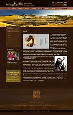 内蒙古网站优化厂家排名 的图像结果