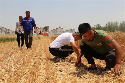 麦收季遇到连续阴雨天 河南新乡采取互助形式保障小麦晾晒