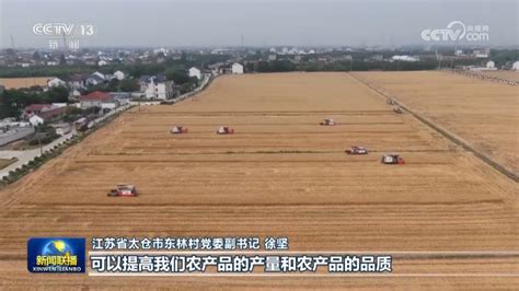 【在希望的田野上】全国麦收过四成 - 国内新闻 - 陕西网